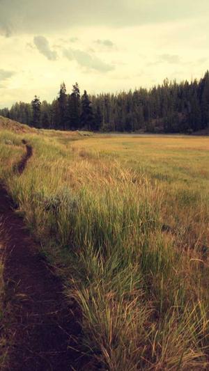 阿里蜘蛛池安装教程截图1