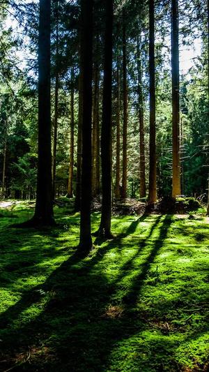 蜘蛛池多少钱一个截图4