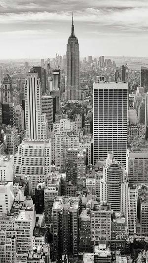 seo站长工具 论坛截图2