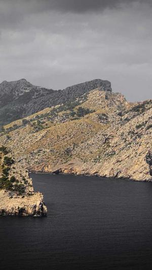 seo优化杭州截图4