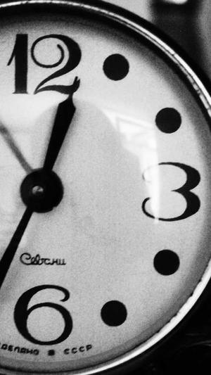 最新泛目录截图2