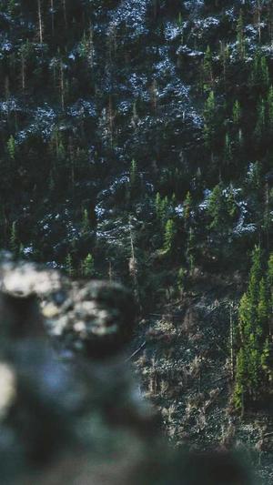 杭州seo排名工具查询截图3