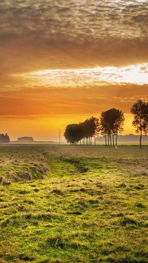 seo优化推广工具截图1