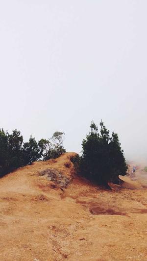 杭州seo排名工具查询截图1