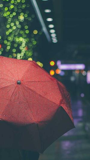 抖音seo关键词工具截图5