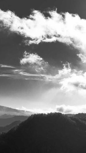 5118网seo关键词工具截图1