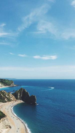 免费蜘蛛池平台截图2