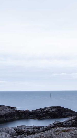 2021最新泛目录截图2