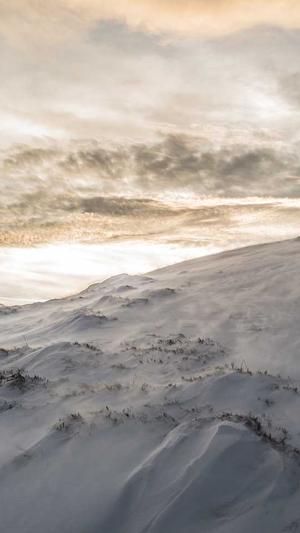 滁州网站建设截图3