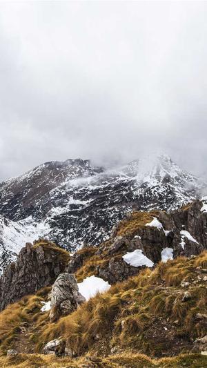 seo方法及工具截图3