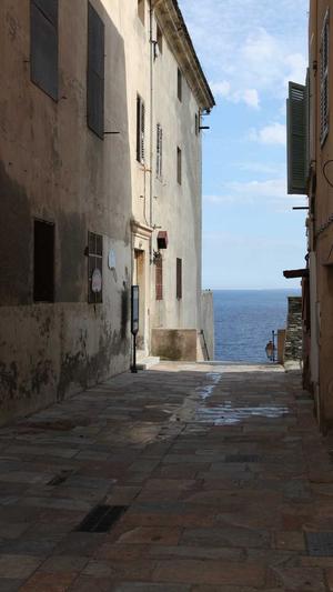 最好的蜘蛛池网站是截图2