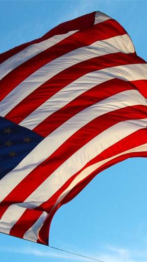 品牌网站建设方案截图3