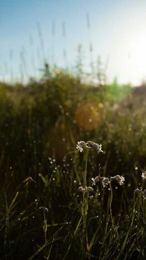 高端企业网站建设蓦然郑州网站建设截图2