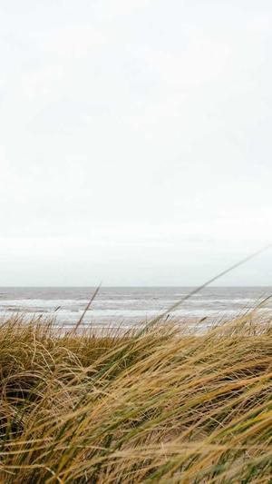 成都市建设网站截图2