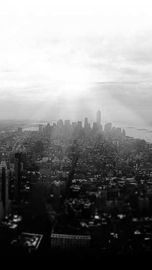 2020新版零距离泛目录截图2