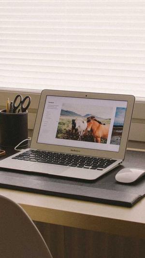 泛目录系统截图5