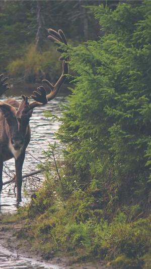 百度关键词seo截图4
