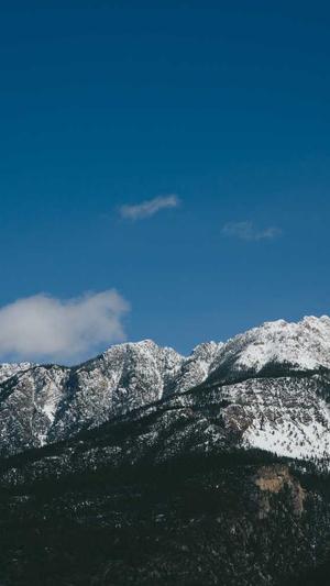 毕节网站建设截图2