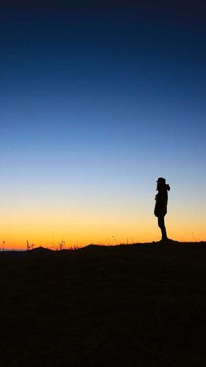 最新小旋风蜘蛛池站群截图5