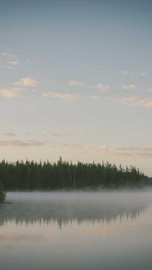 蜘蛛矿池不能注册了截图2