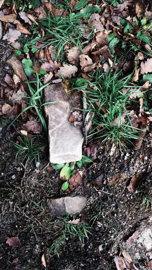 seo优化杭州截图2