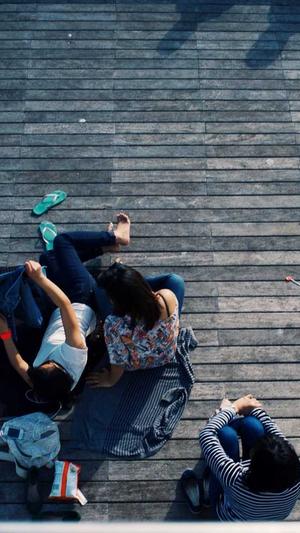 搜狗蜘蛛池多少蜘蛛有用截图4