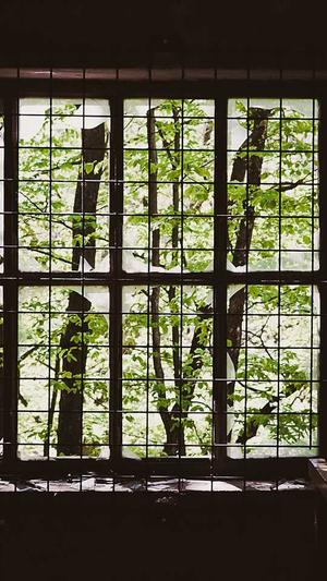 百度seo点击软件截图5