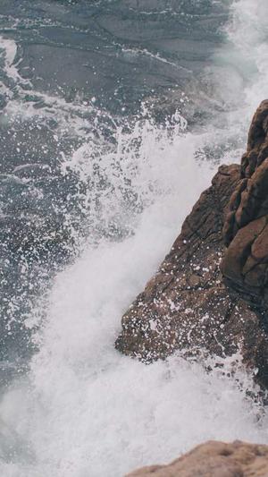 汕头seo优化工具截图2