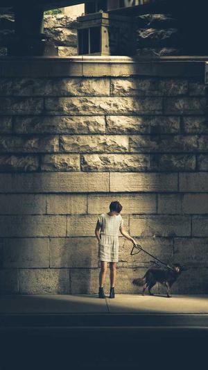 SEO工具不包括截图1