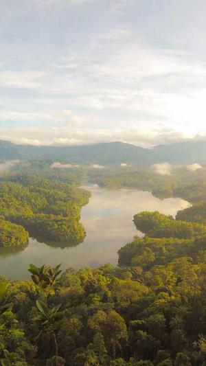 资阳网站建设截图2