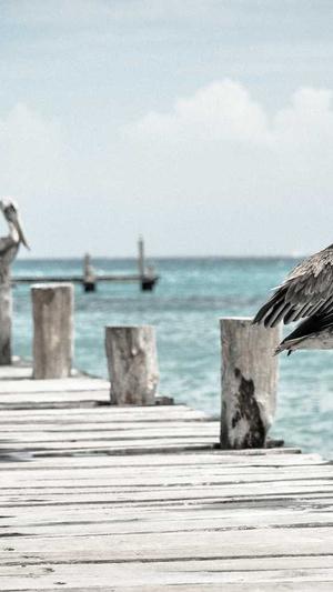 山西省建设厅网站截图4