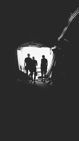 江西蜘蛛池出租服务截图4