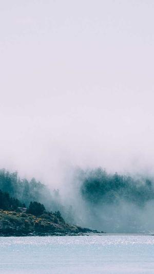 泛目录推广接单代发截图3