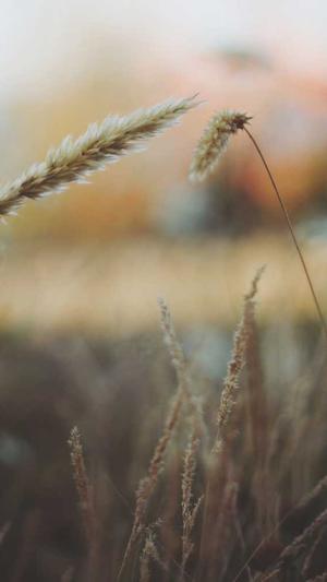 舟山网站建设截图2