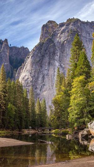 在线站长seo工具截图2