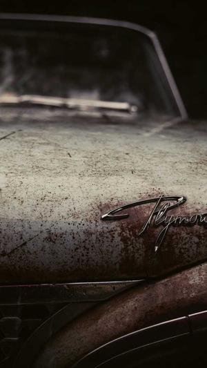 厦门seo工具截图5