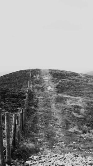 好的蜘蛛池有哪些品牌截图3