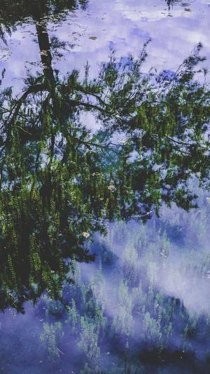 seo优化网站推广截图4