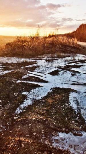 泛目录收录截图2