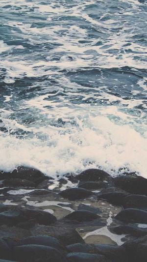 谷歌seo优化工具截图4