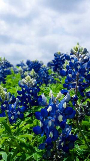 好的蜘蛛池有哪些作用截图3