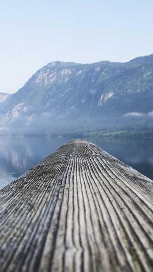 蜘蛛池妙收录免费测试截图4