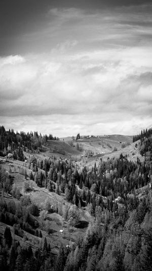 泛目录网站搭建截图5