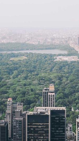 seo站长工具页面信息没显示截图3