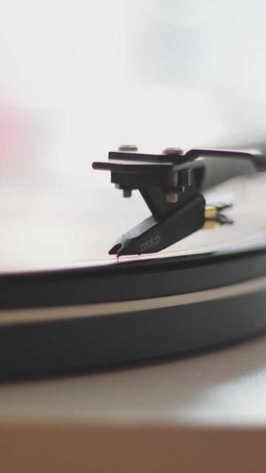 最蜘蛛池好用吗截图2