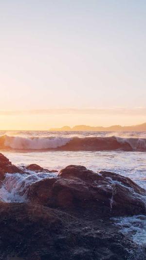 seo方法及工具截图4