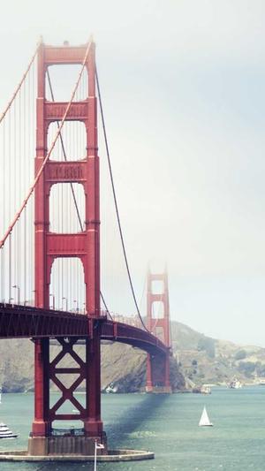 seo采集工具截图2