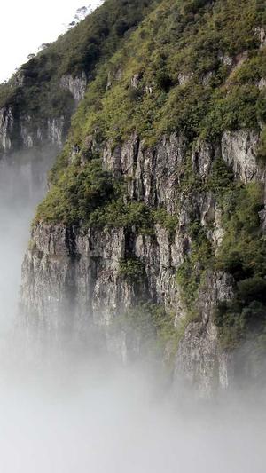 黑帽seo课程泛目录截图2