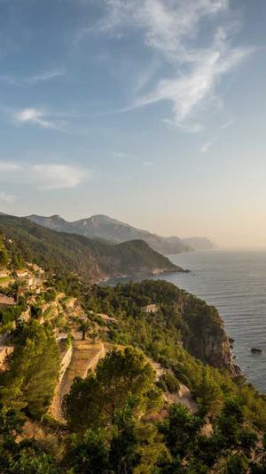 广州市移动网站建设服务公司截图4