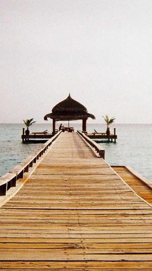 零距离泛目录快速推广截图2